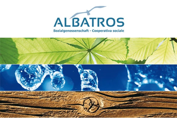 Albatros